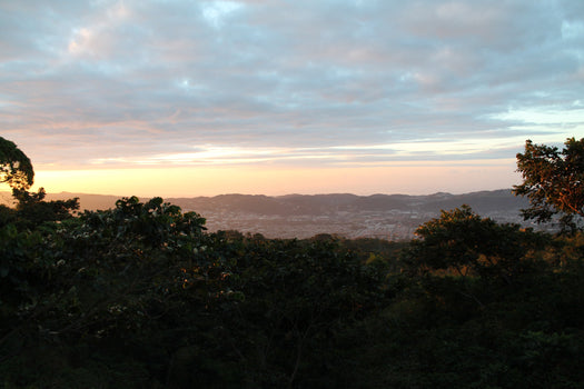 Alleen verkrijgbaar in Mei: El Salvador El Potala Alleen verkrijgbaar in Mei: El Salvador El Potala