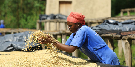 Nieuw & Direct Trade uit Tanzania & Rwanda