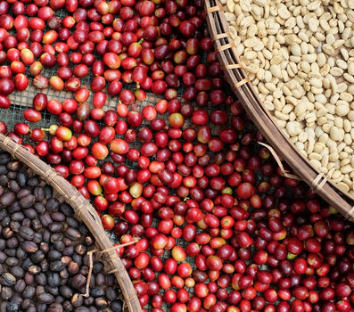 Verwerkingsmethode Verwerkingsmethode