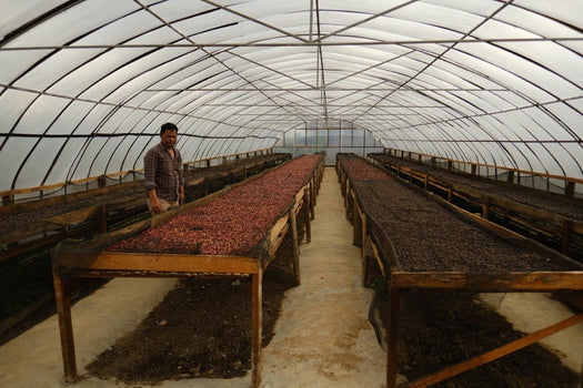 Juni - Een ongewassen koffie uit Indonesië