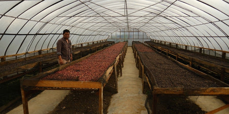Juni - Een ongewassen koffie uit Indonesië