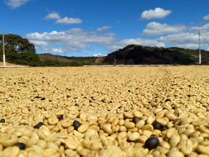 Brazil Sitio Baixadão - Passie voor perfectie