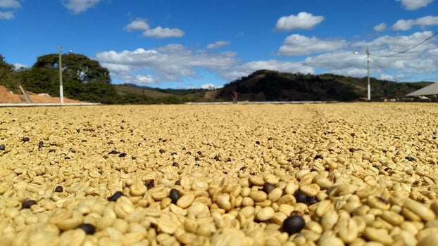 Brazil Sitio Baixadão - Passie voor perfectie