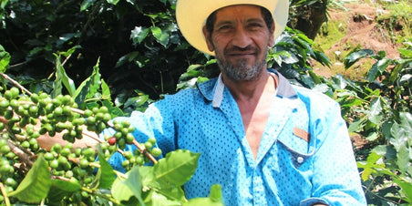 Nieuw & Direct Trade: Honduras El Pinal