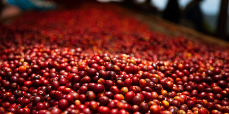 Rwanda Kamajumba - alleen verkrijgbaar in November!