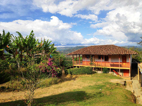 Marry your Farmer - Finca La Maria