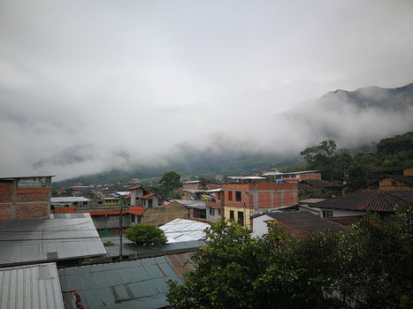 Peru Tunki? Peru Monteverde!